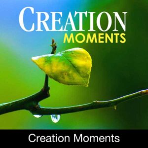 Creation-Moments-2024